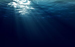 deepwater-basketball-training-academy-deep-water-abyss-bg.jpg